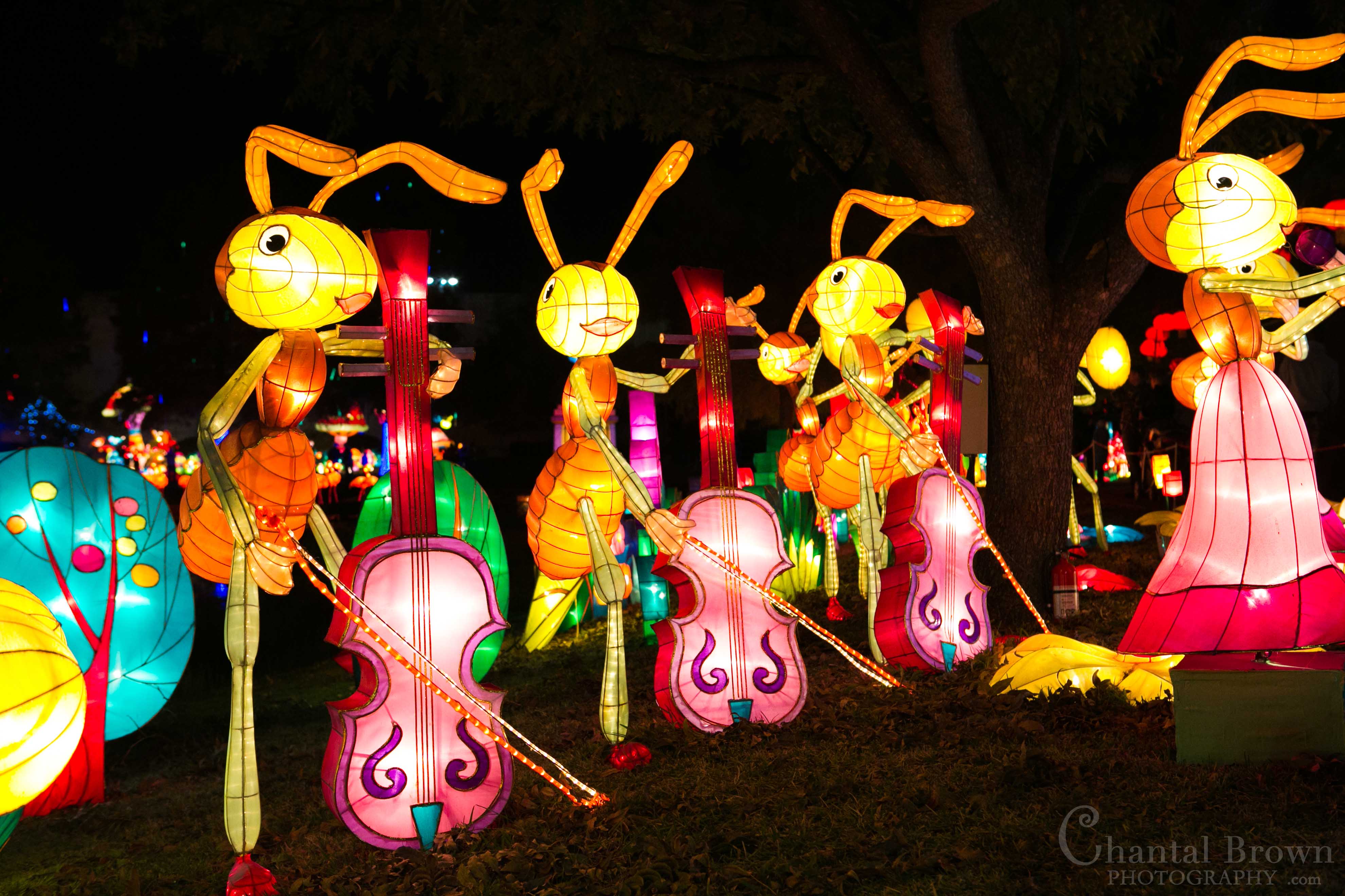 Chinese Lantern Festival at Dallas Fair Park