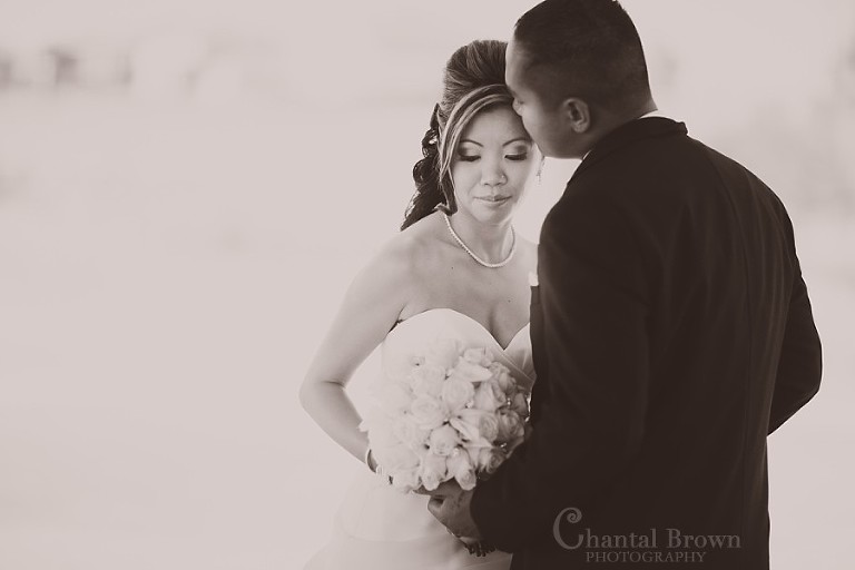 Arick + Julie: Cambodian Wedding Photographer » Dallas Senior Portrait ...