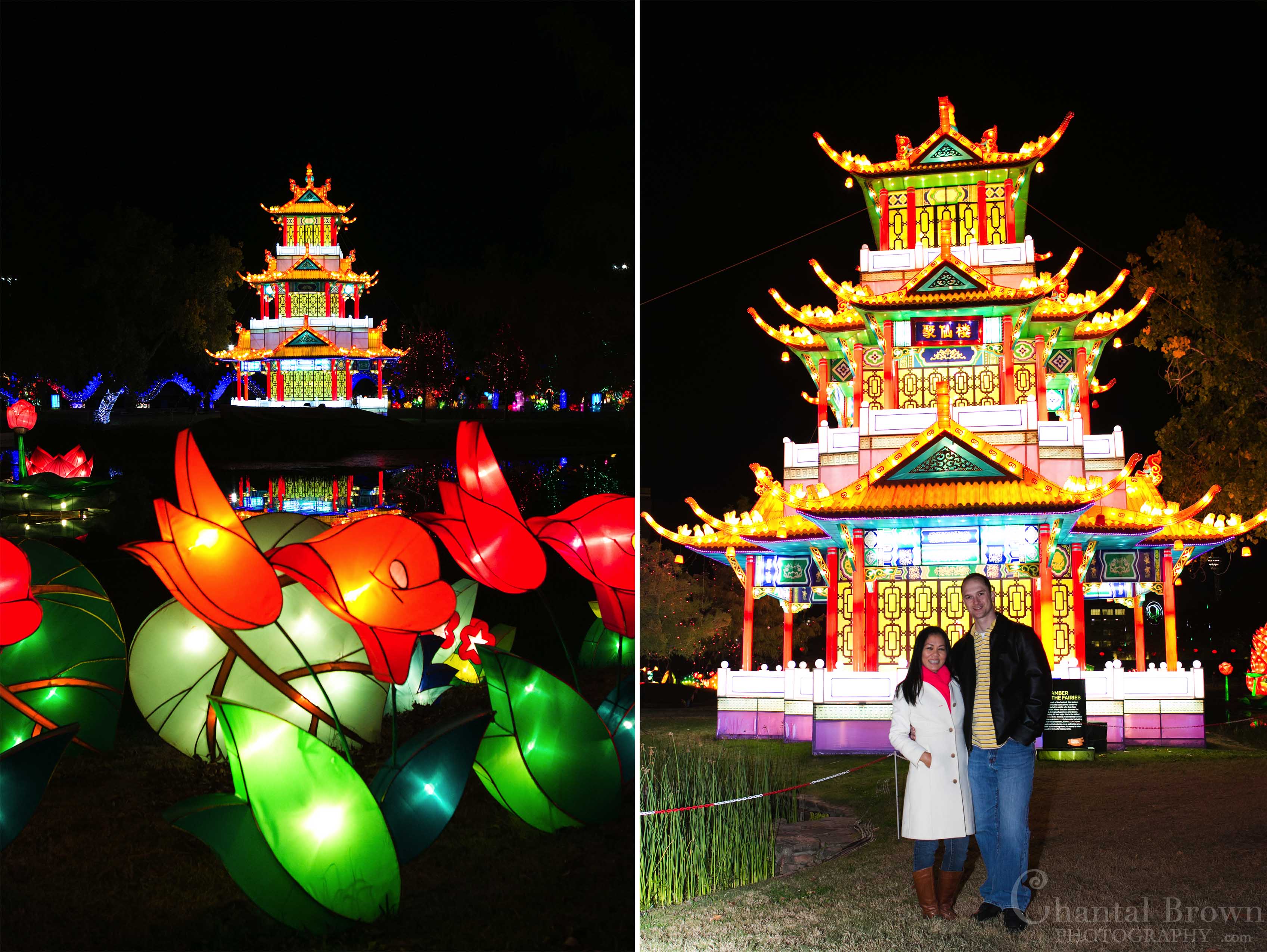 Chinese Lantern Festival at Dallas Fair Park » Dallas Senior Portrait