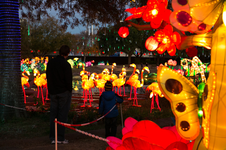 Chinese Lantern Festival at Dallas Fair Park » Dallas Senior Portrait ...